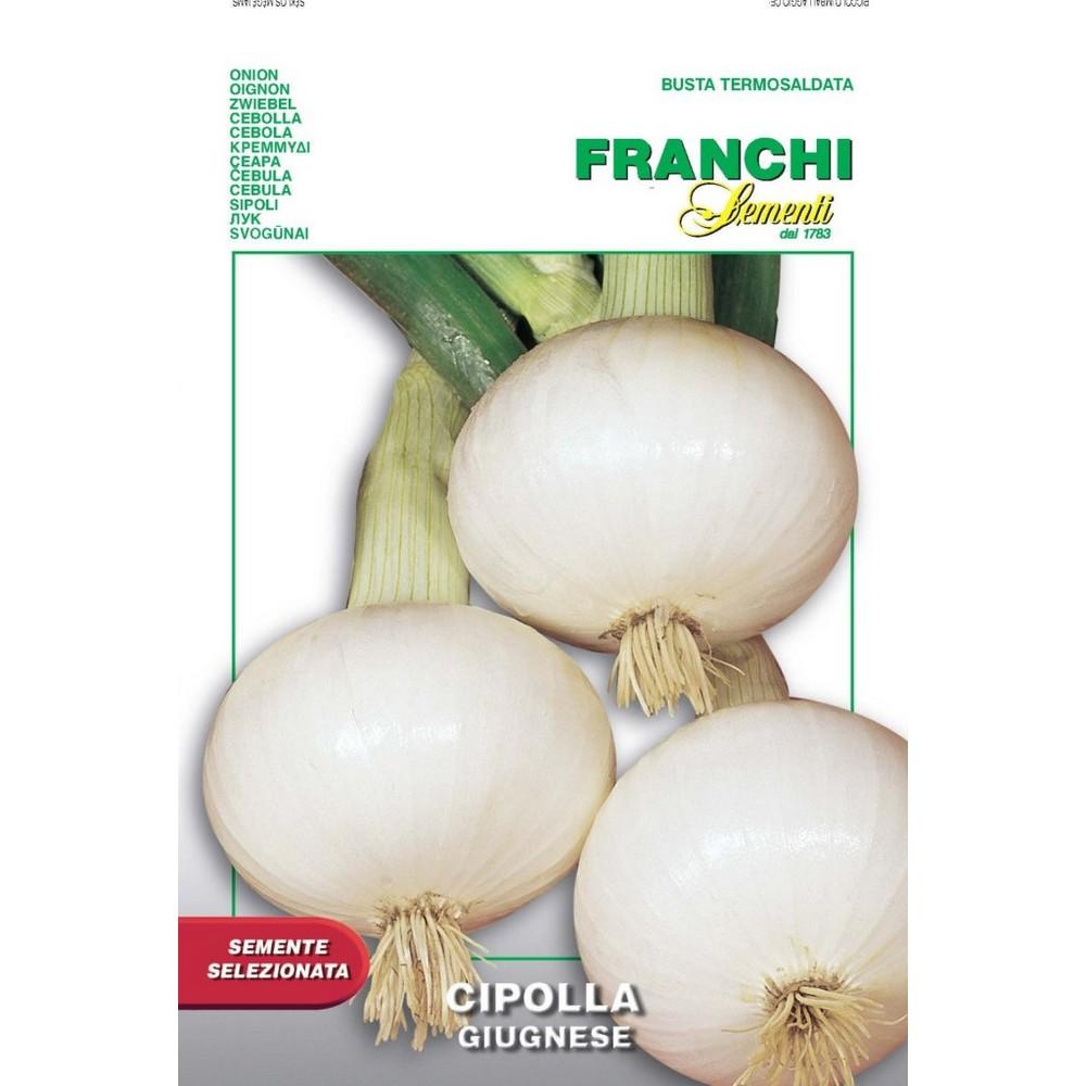 Semente selezionata cipolla giugnese