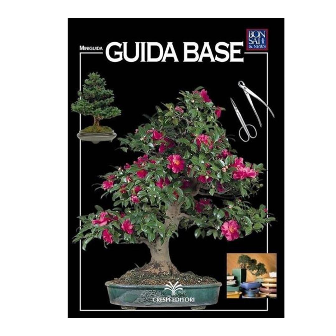 Guida base bonsai