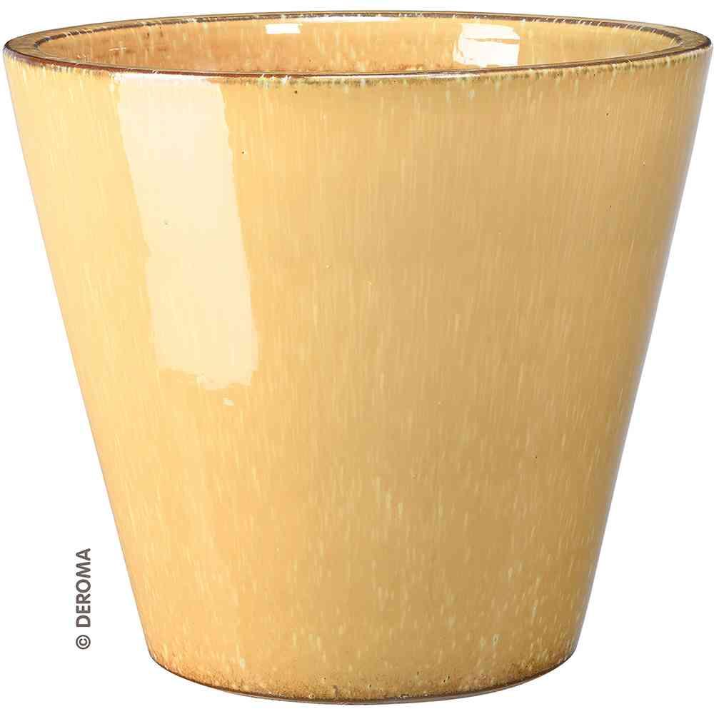 Vaso kinfolk senape
