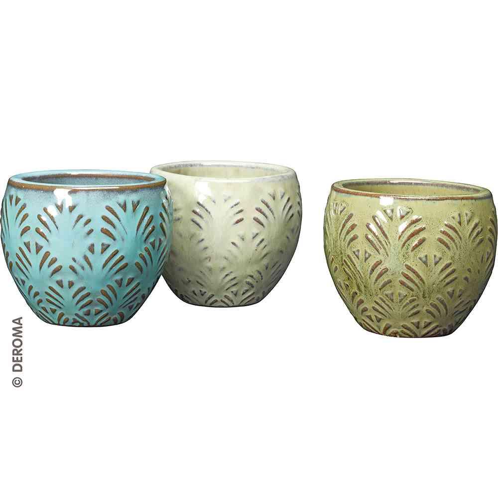 Mini pot gingko