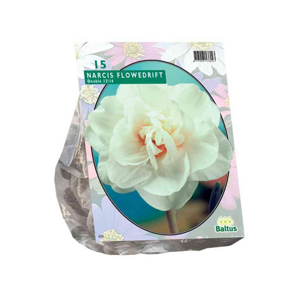 Narcisoflower drift bulbi PZ. 15