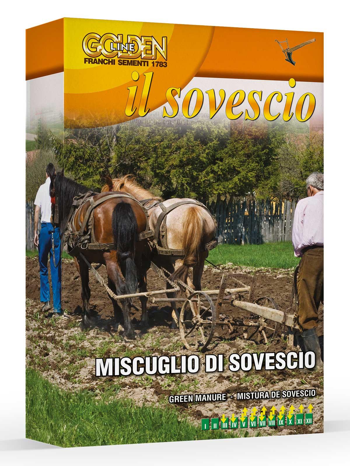 Miscuglio di sovescio semi orto Franchi Sementi
