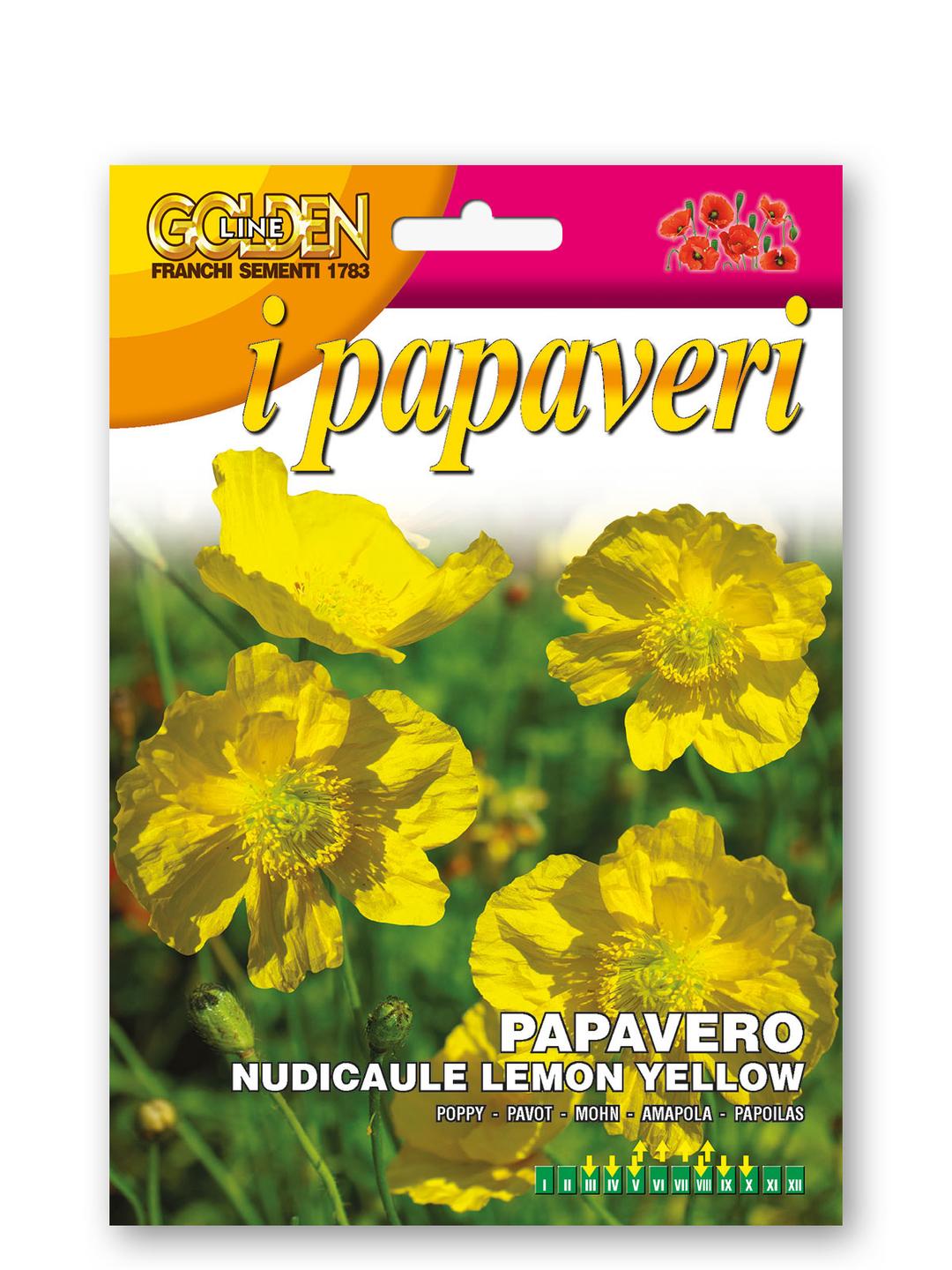 Papavero nudicaule lemon yellow