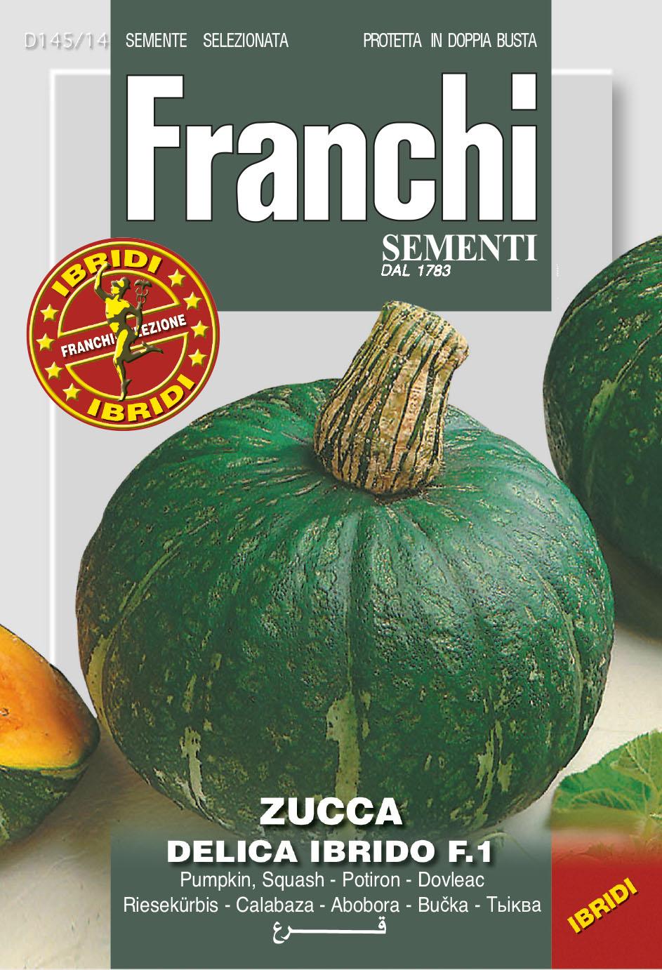 Zucca delica f1 semi orto