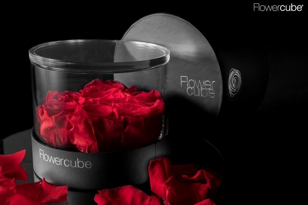 Confezione regalo 7 rose rosse