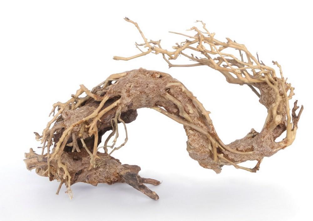 Legno oriental wind 2