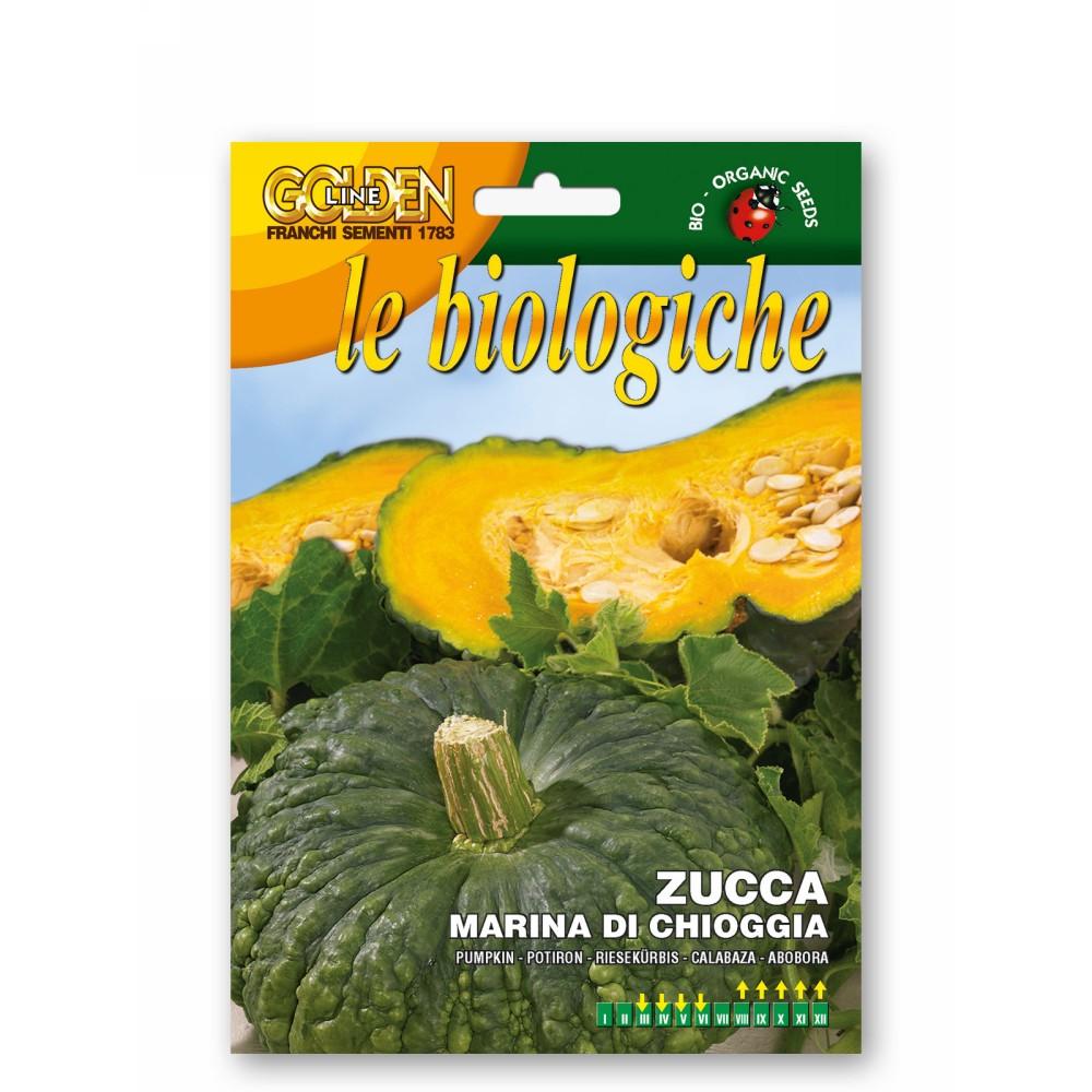 Zucca marina di chioggia bio semi orto Franchi Sementi