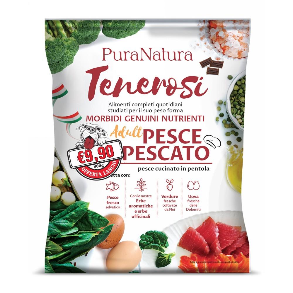 Tenerosi pesce adult
