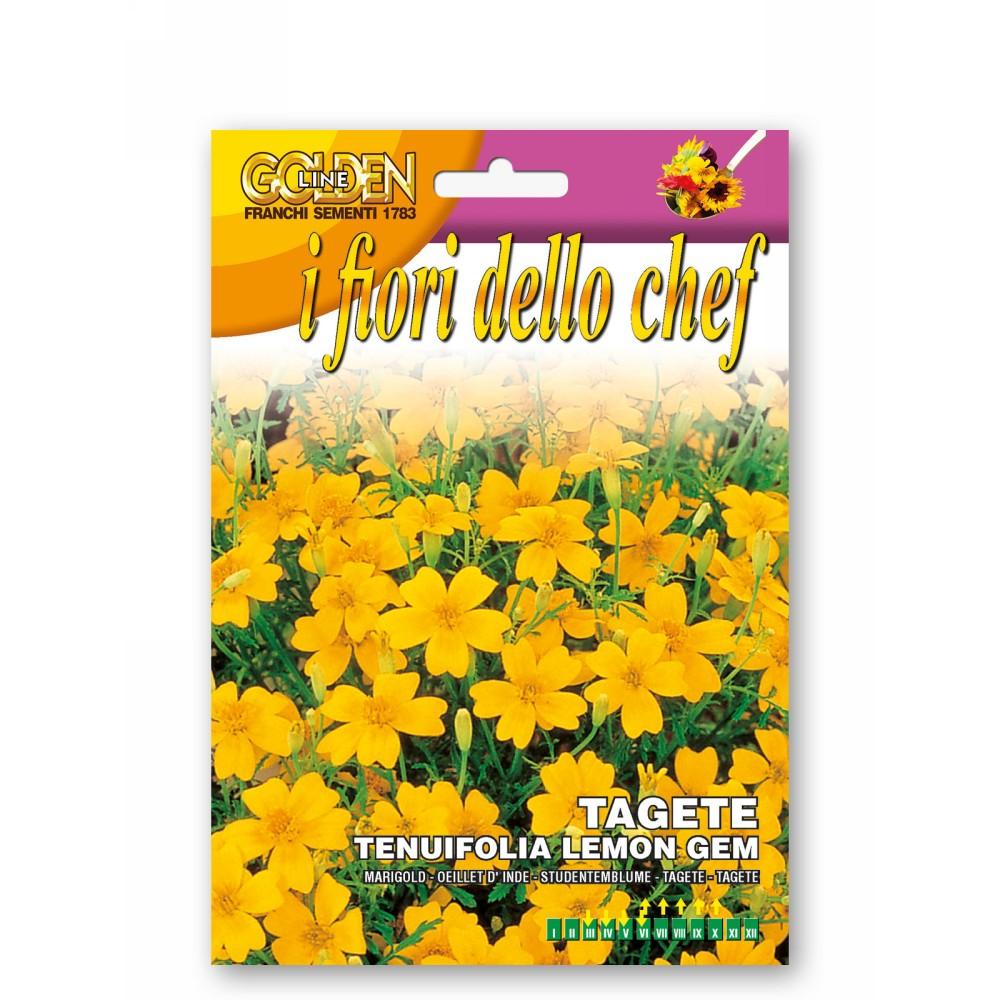 Tagete tenufolia lemon gem