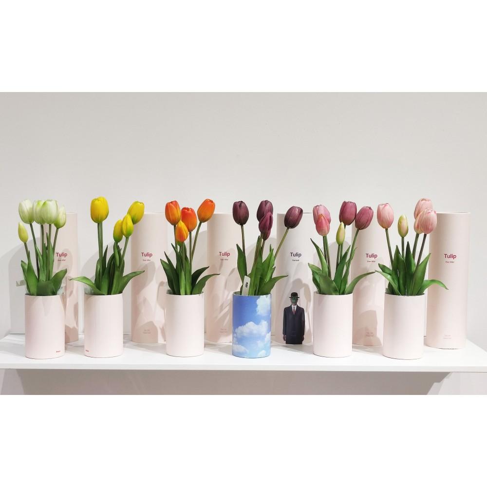 Mazzo di tulipani profumati SBAM DESIGN