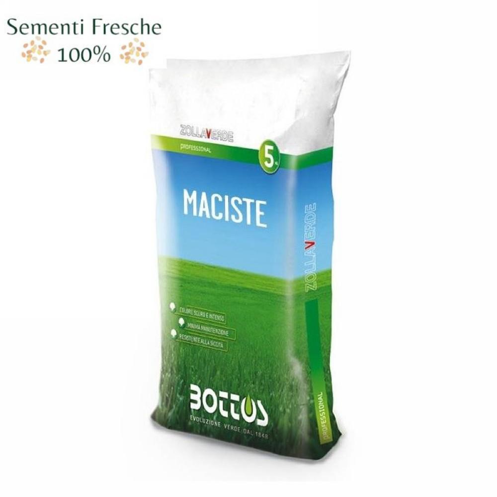 Semente maciste 5 kg