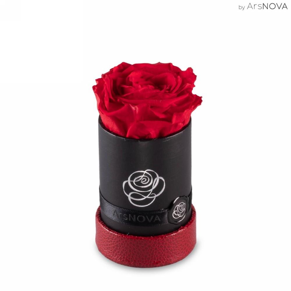 Rosa baccara stabilizzata rosso 6cm