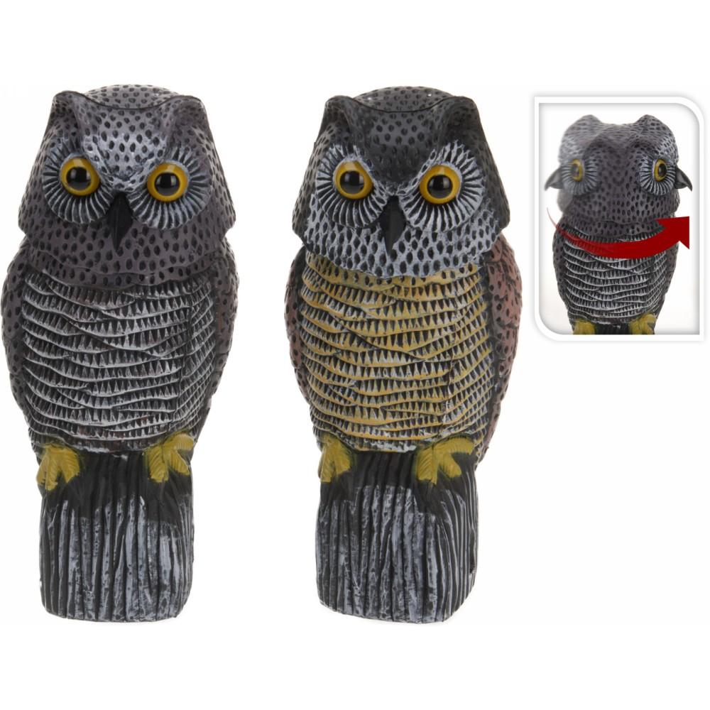 Gufo pp movimento testa