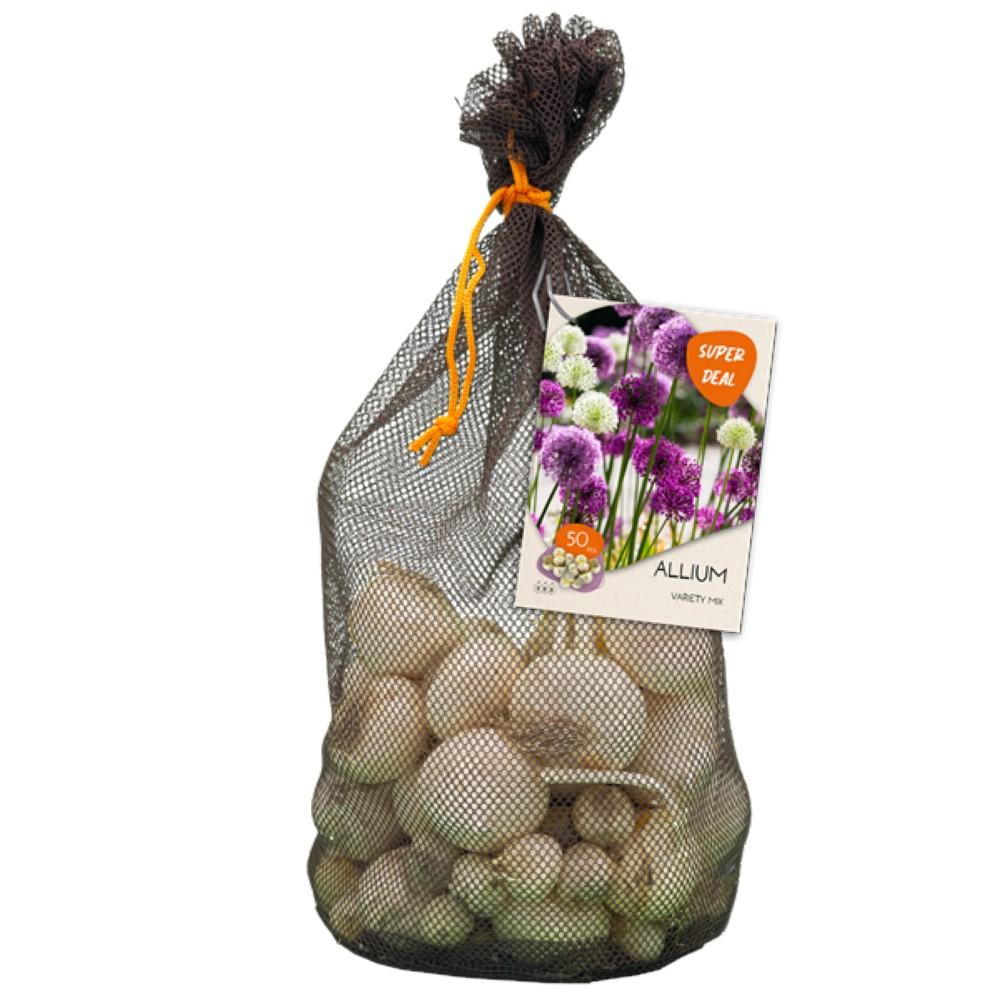 Bulbi Allium Variety misti x50