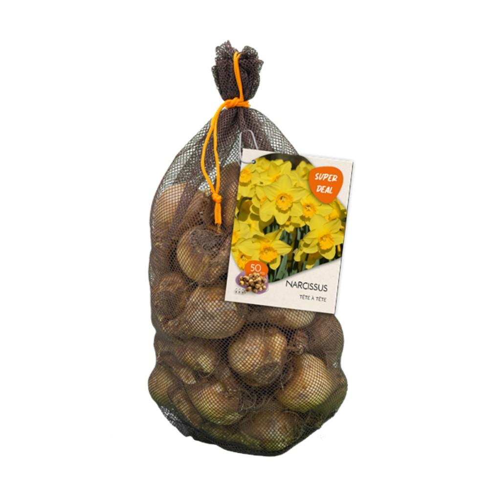 Bulbi Narcisi Tête à Tête x 50