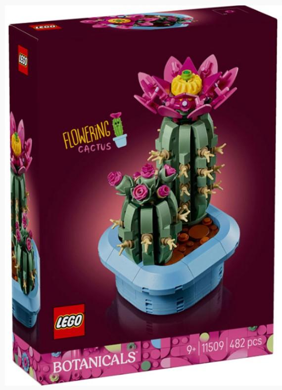 11509 Cactus in Fiore