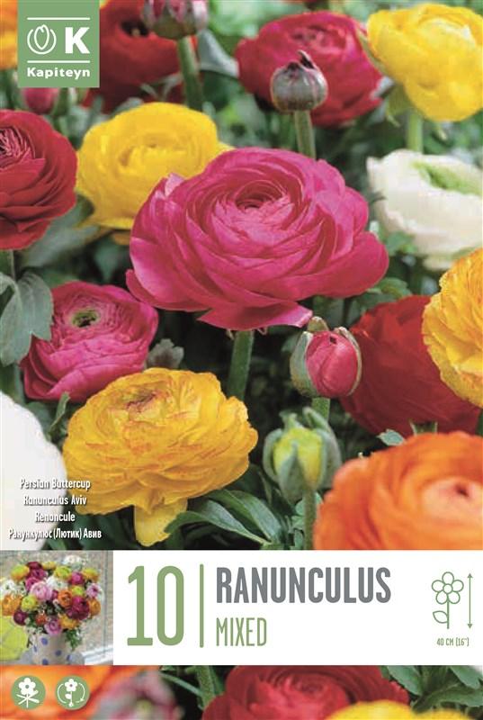 Bulbi Ranunculo Mixed Colours x10