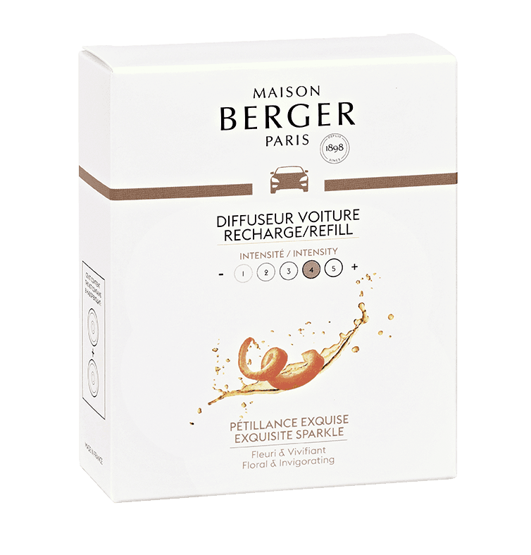 Istitutionel petillance exquis