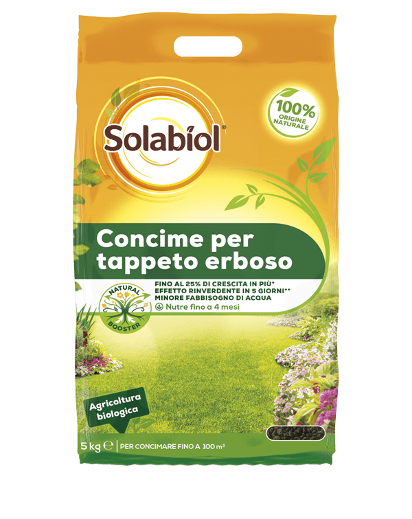 Concime per prato 5 kg Migliora la crescita del tappeto erboso