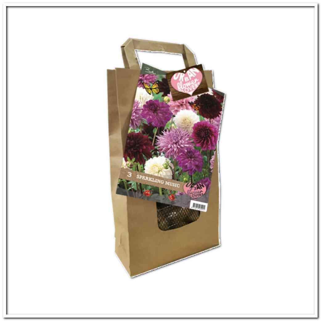 Urban Flower Lovers Spark.Musx 3 bulbi