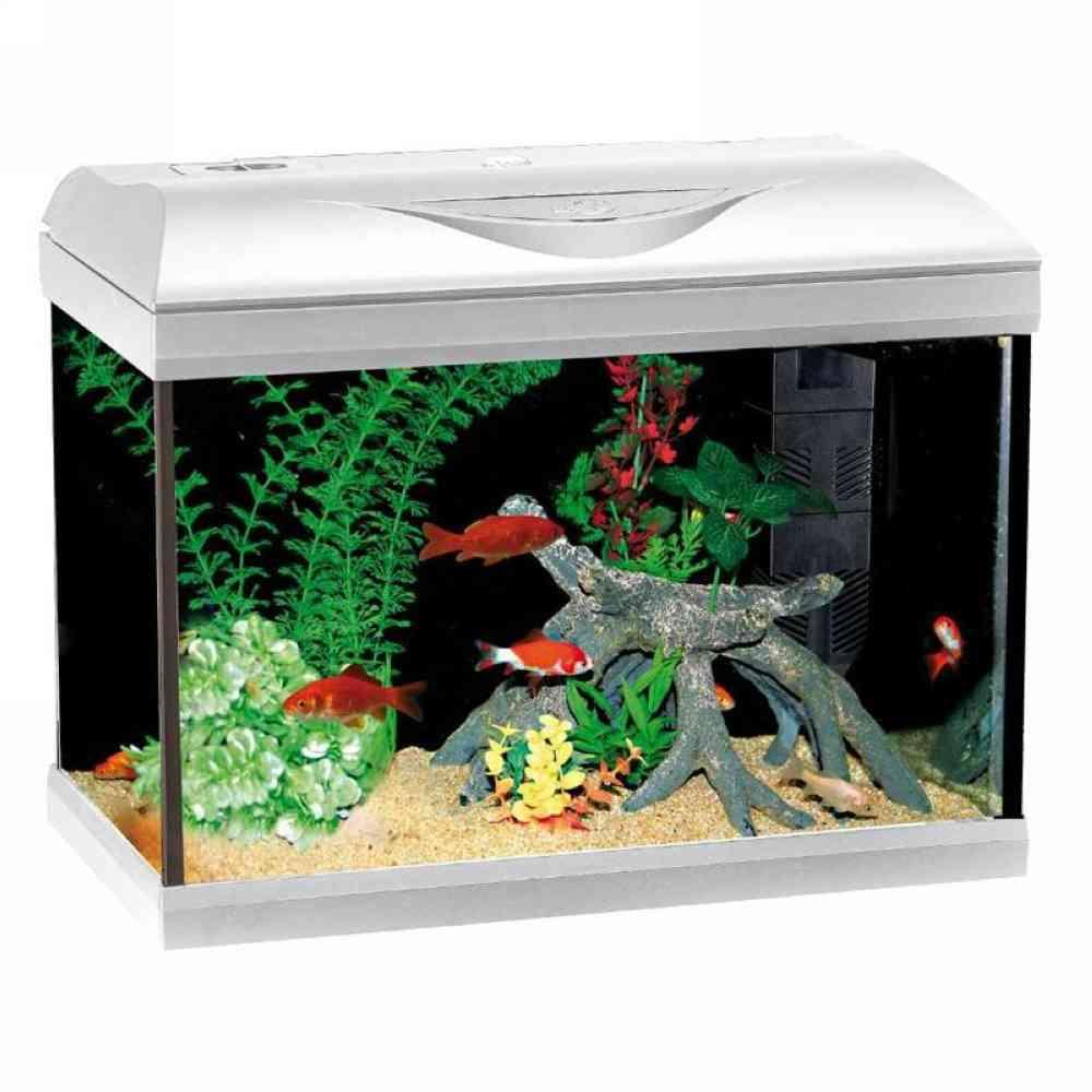 Acquario 40 LED Coldwater bianco da 25 litri