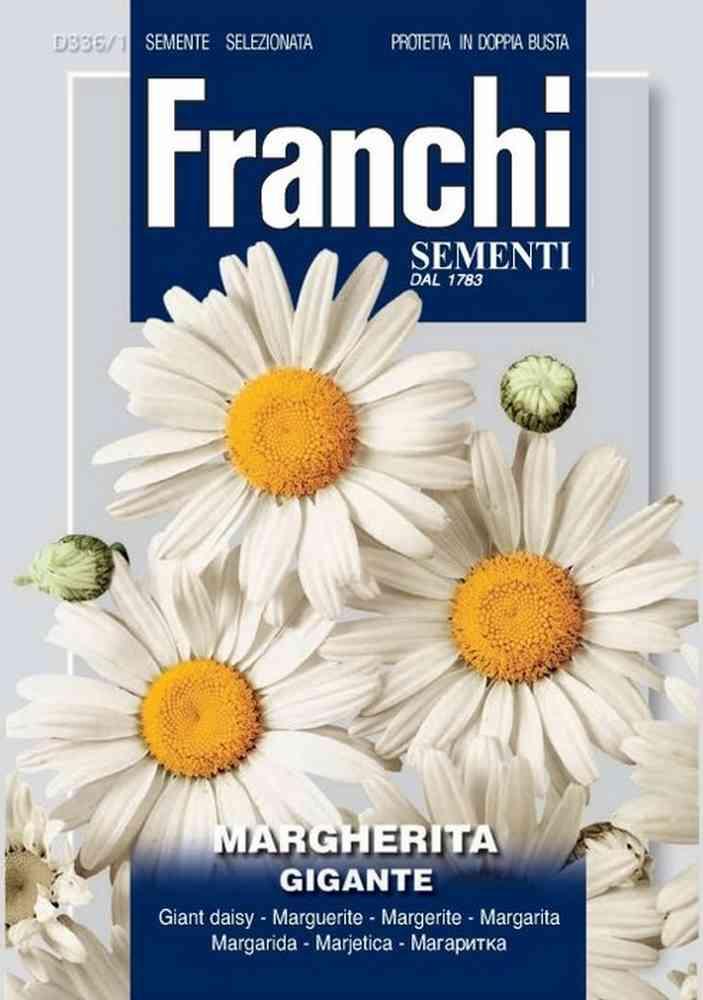 Margherita gigante db semi Franchi Sementi