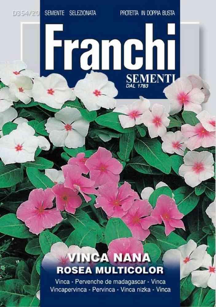 Vinca rosea mix db semi Franchi Sementi