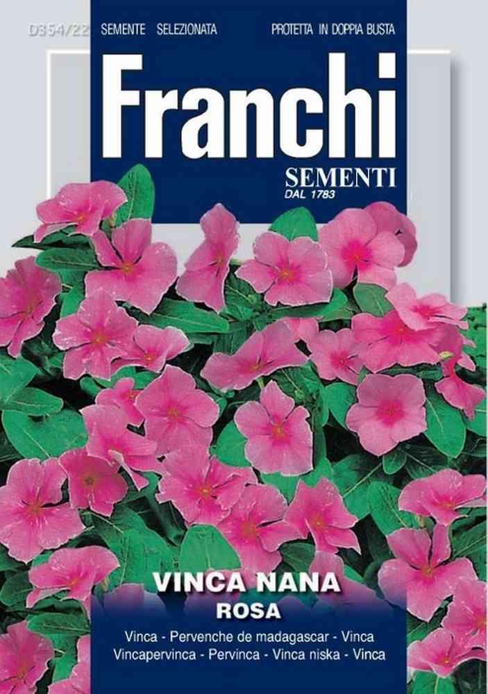 Vinca nana rosa db semi
