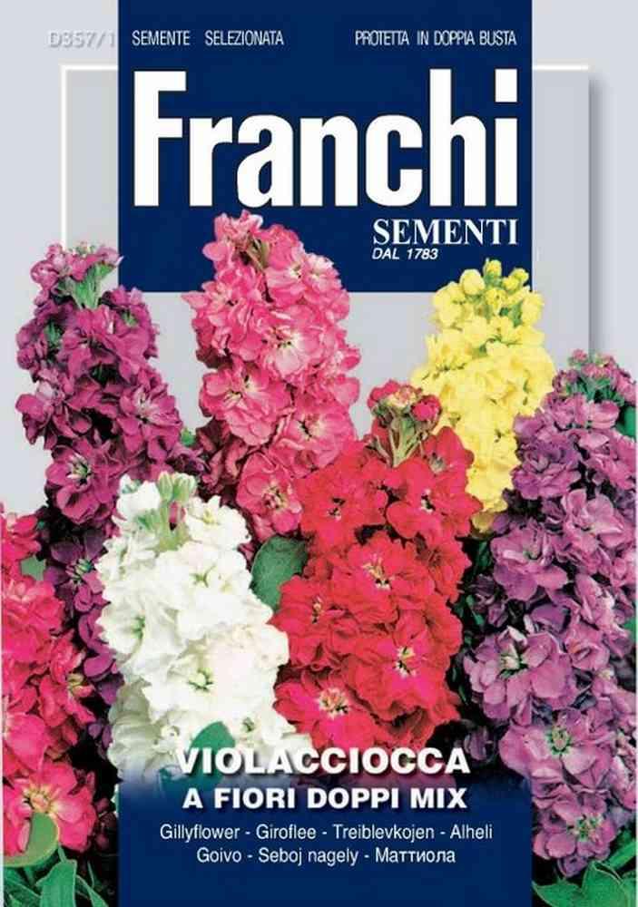 Violacciocca mix db semi