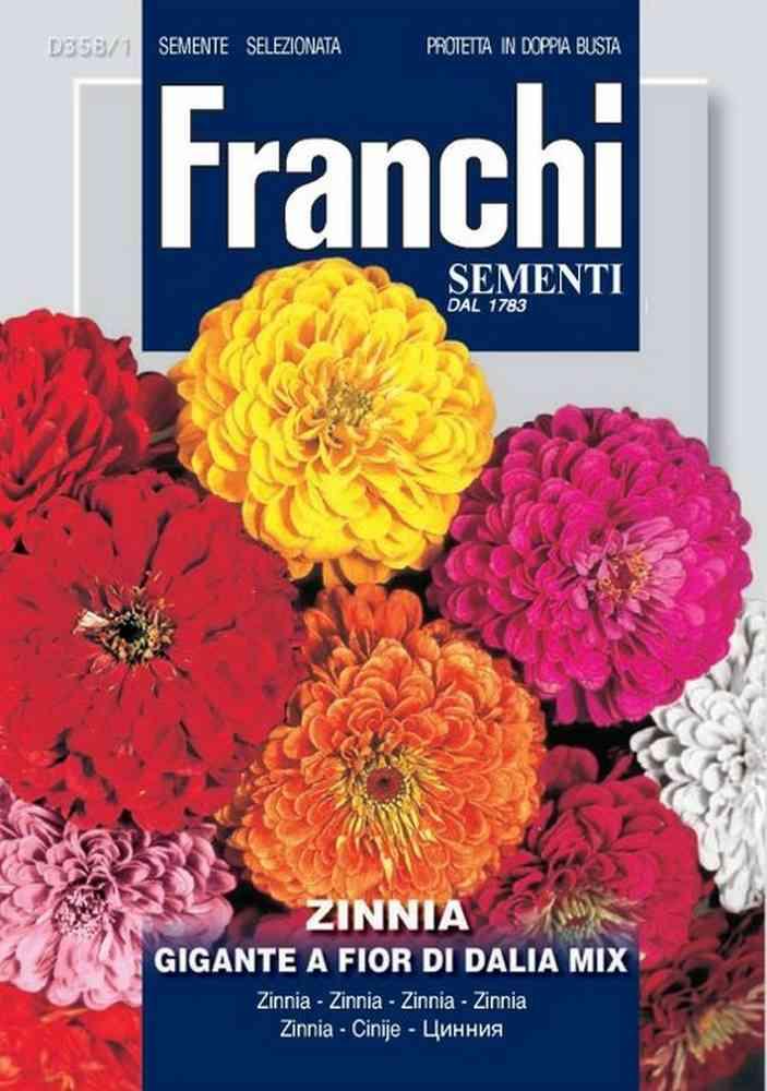 Zinnia fior di dalia db semi