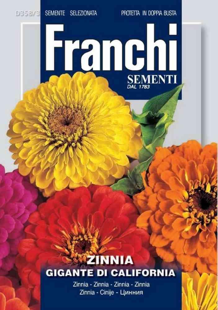 Zinnia gig.california db semi