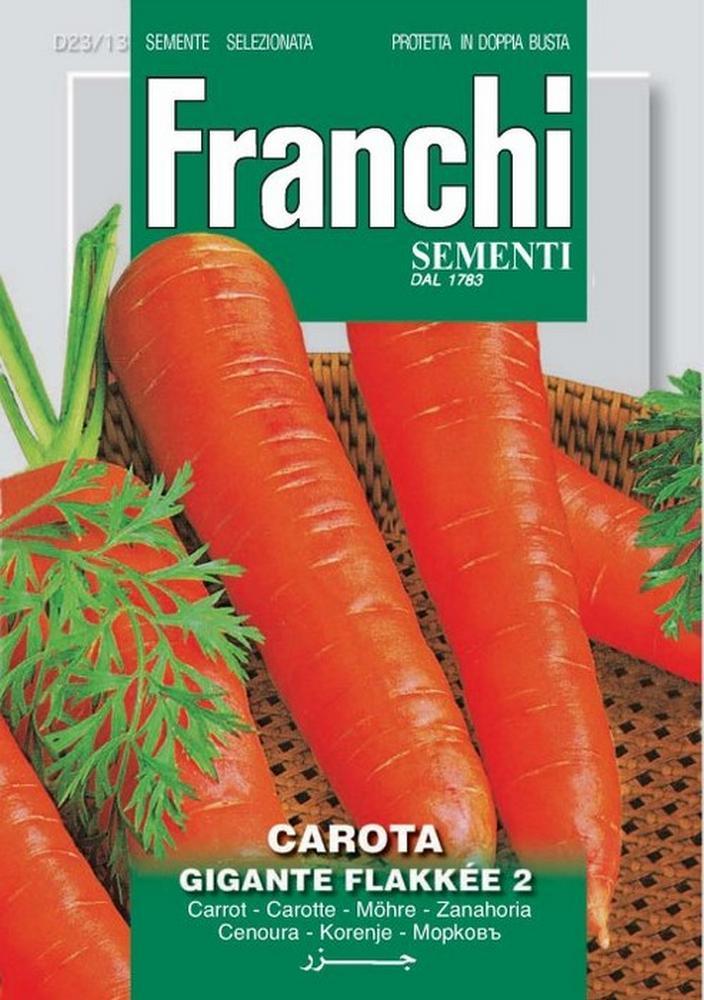 Carota flakkee 2 Doppia Busta semi orto Franchi Sementi