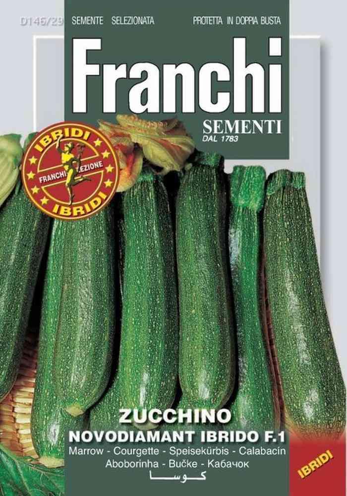 Zucchino novodiamant f1 semi orto