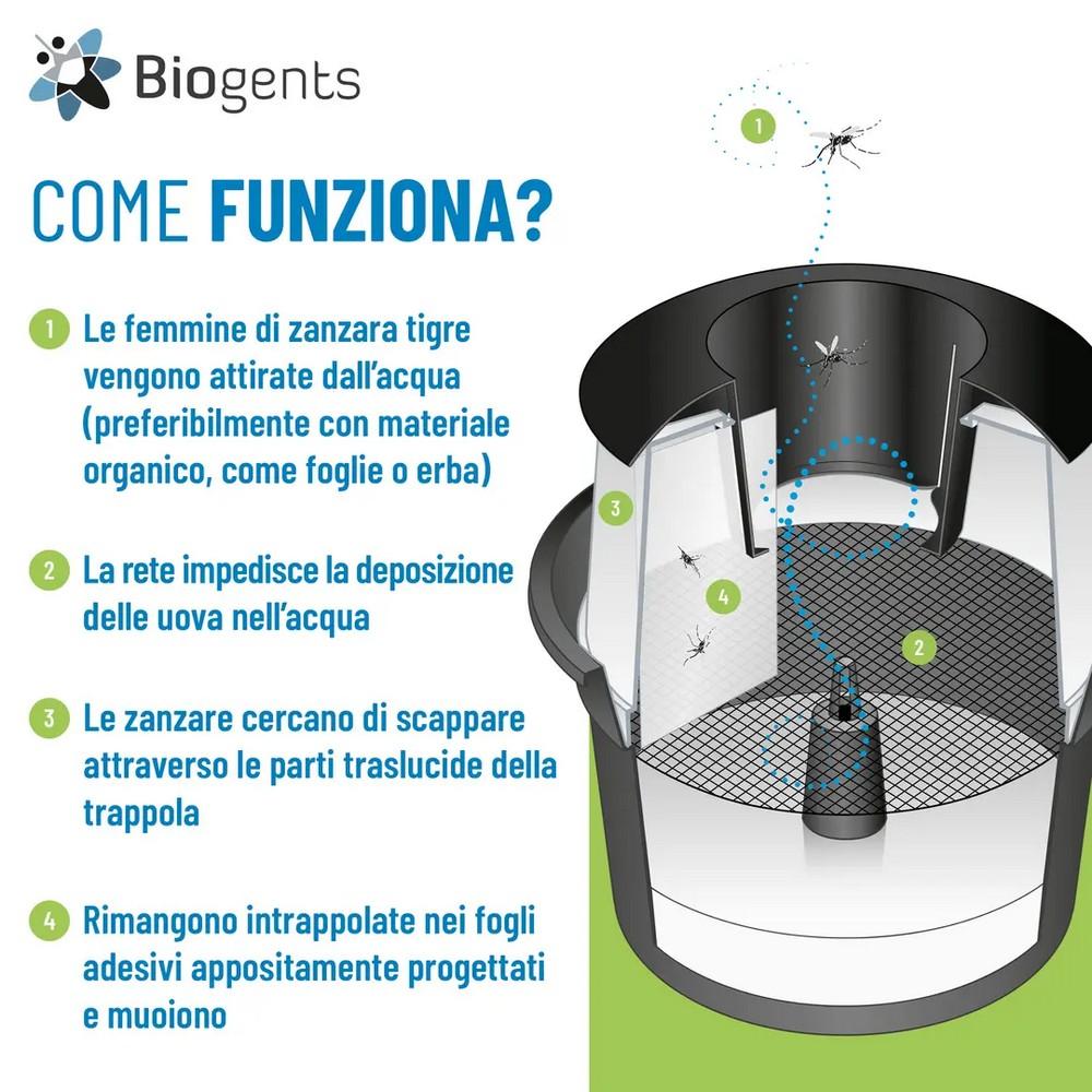 Set 2 BG-GAT - Trappole per zanzara tigre priva di insetticidi BIOGENTS