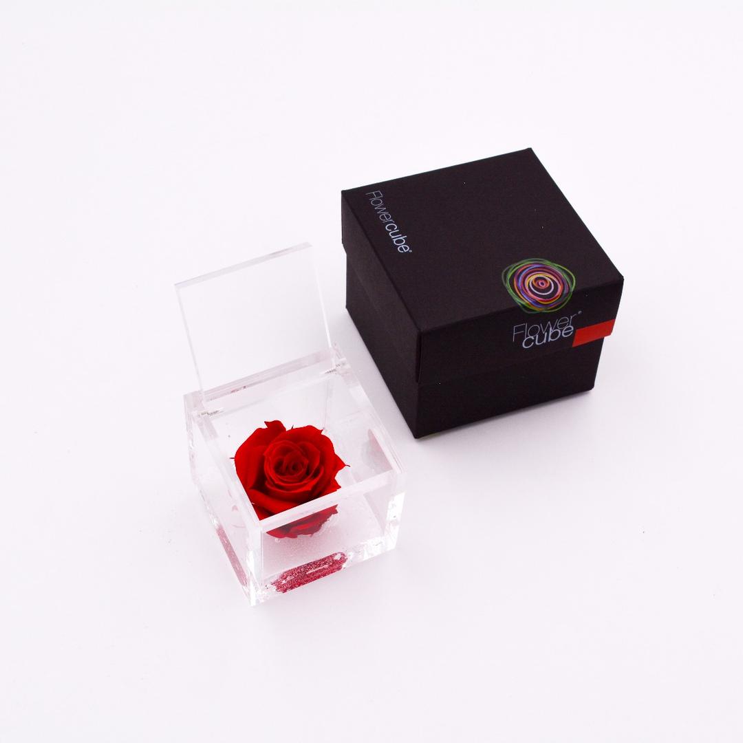 Flowercube | Rosa stabilizzata colore rosso 6x6 cm