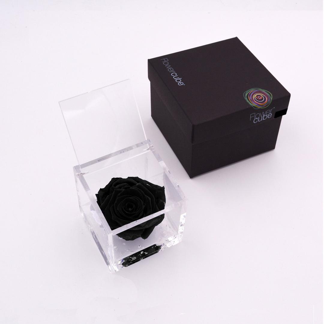 Flowercube | Rosa stabilizzata nera (8x8 cm)