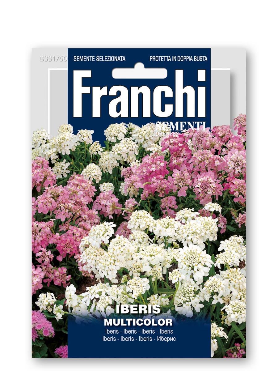 Iberis mix semi orto Franchi Sementi