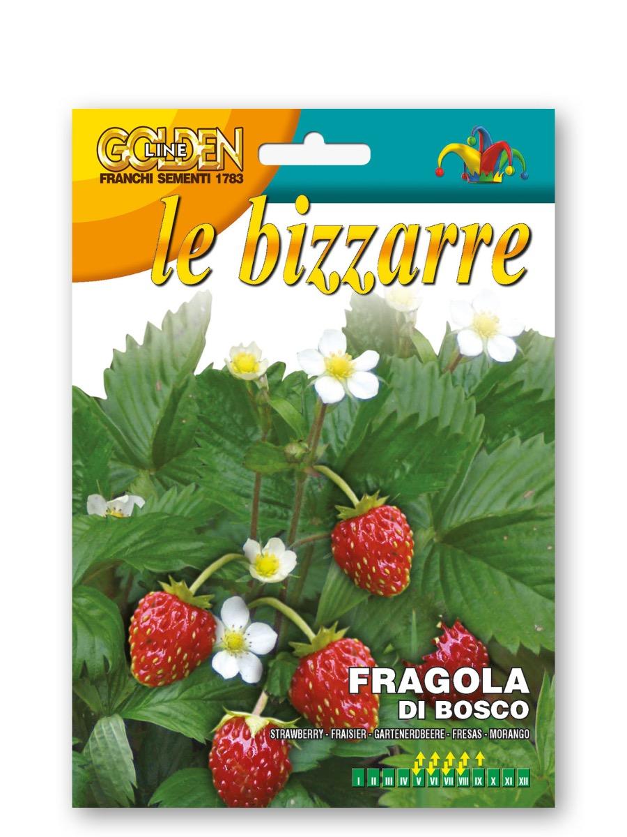 fragola di bosco semi orto