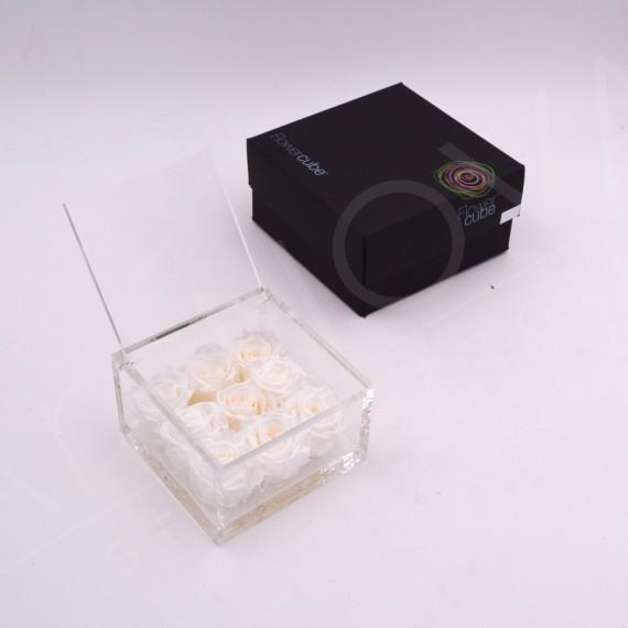 9 rose stabilizzate colore bianco 10x10x6