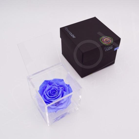 Flowercube | Rosa stabilizzata colore azzurro 10x10cm