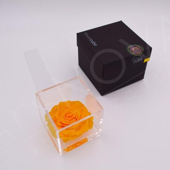 Flowercube | Rosa stabilizzata colore giallo 10x10