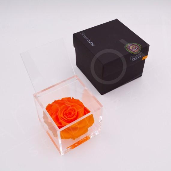 Flwercube | Rosa stabilizzata colore arancio 12x12cm