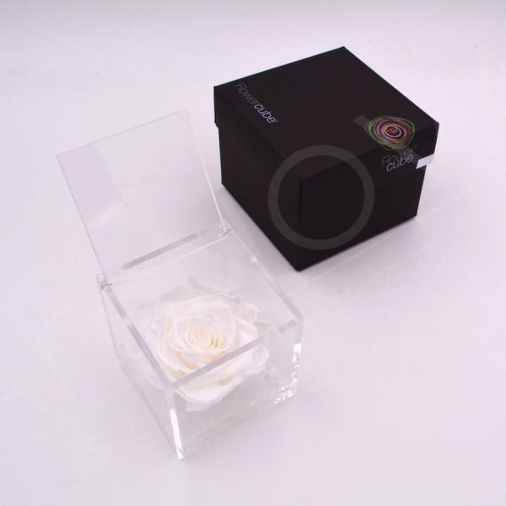 Flowercube | Rosa stabilizzata colore bianco 12x12cm