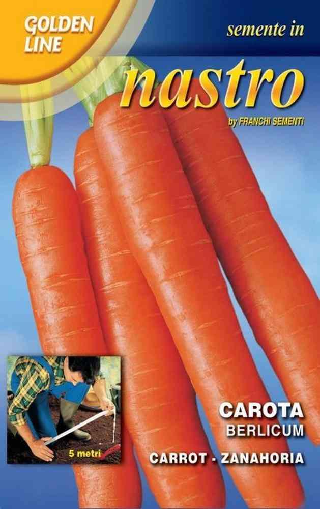 Carota berlicum 2 Nastri semi orto Franchi Sementi
