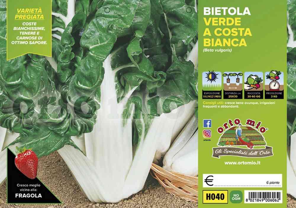 Bietola Verde A Costa Lusiana H040