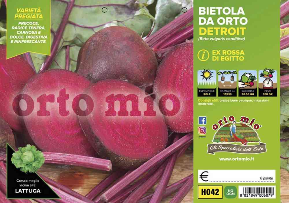 Bietola Moneta Egitto H042
