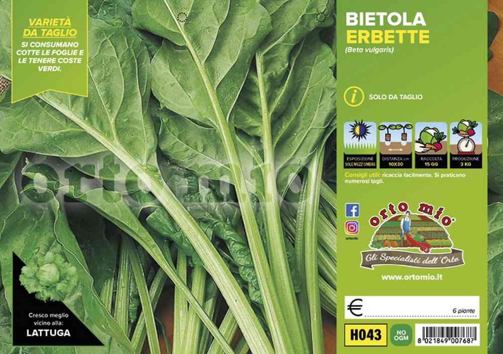 Bietola Da Taglio Erbette H043