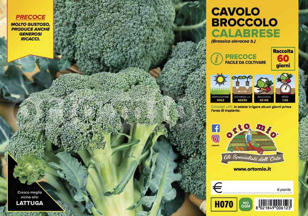 Cavolo Broccolo Heraklion H070