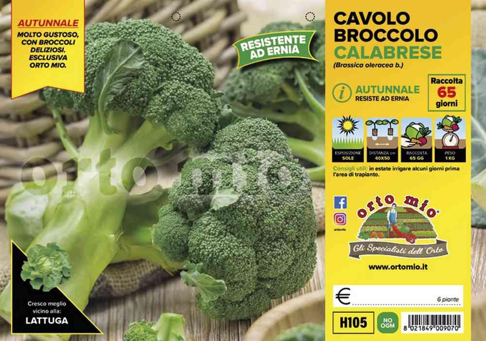 Cavolo Broccolo Centauro H105