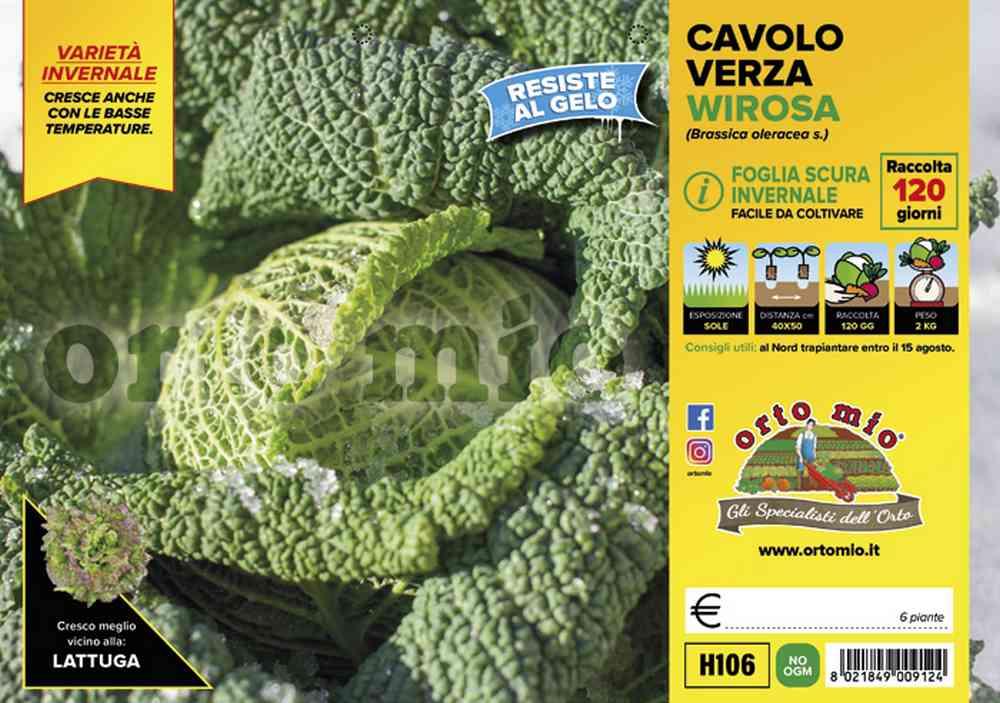 Cavolo Verza Wirosa H106
